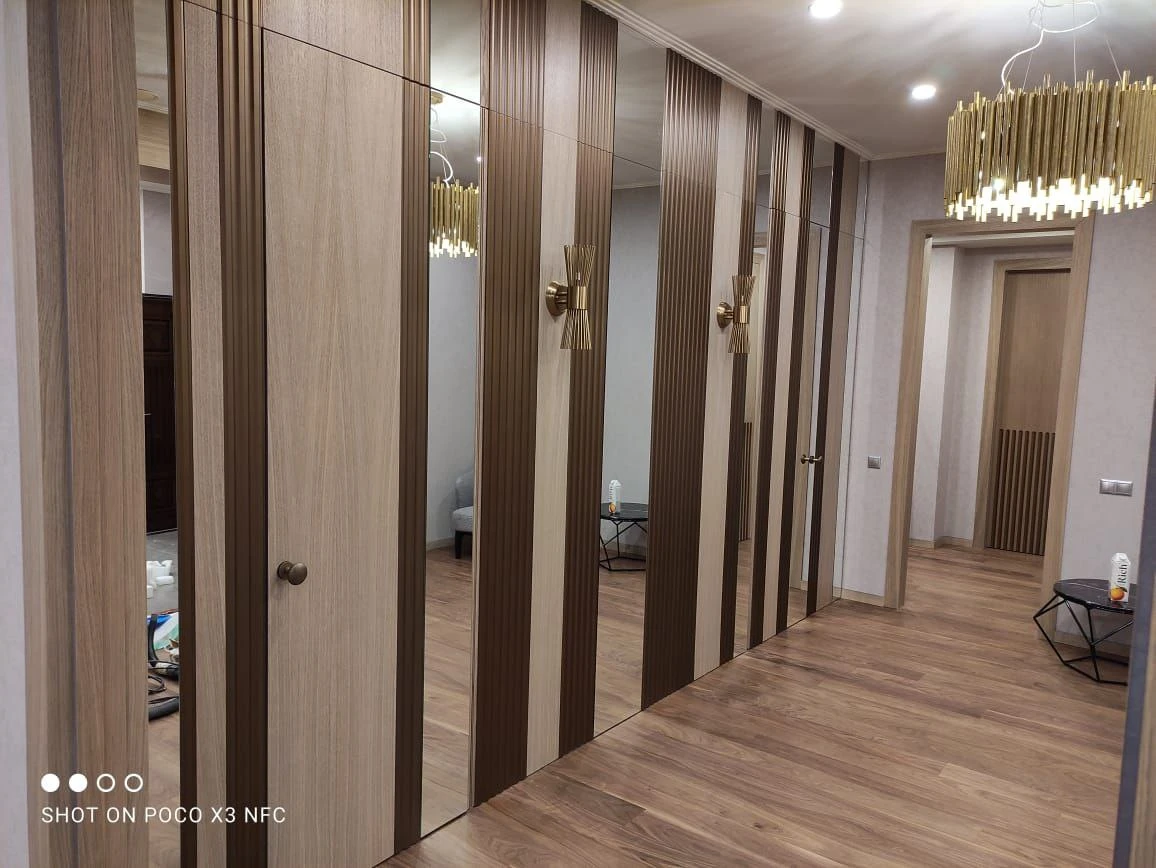 Дверь - стеновая панель