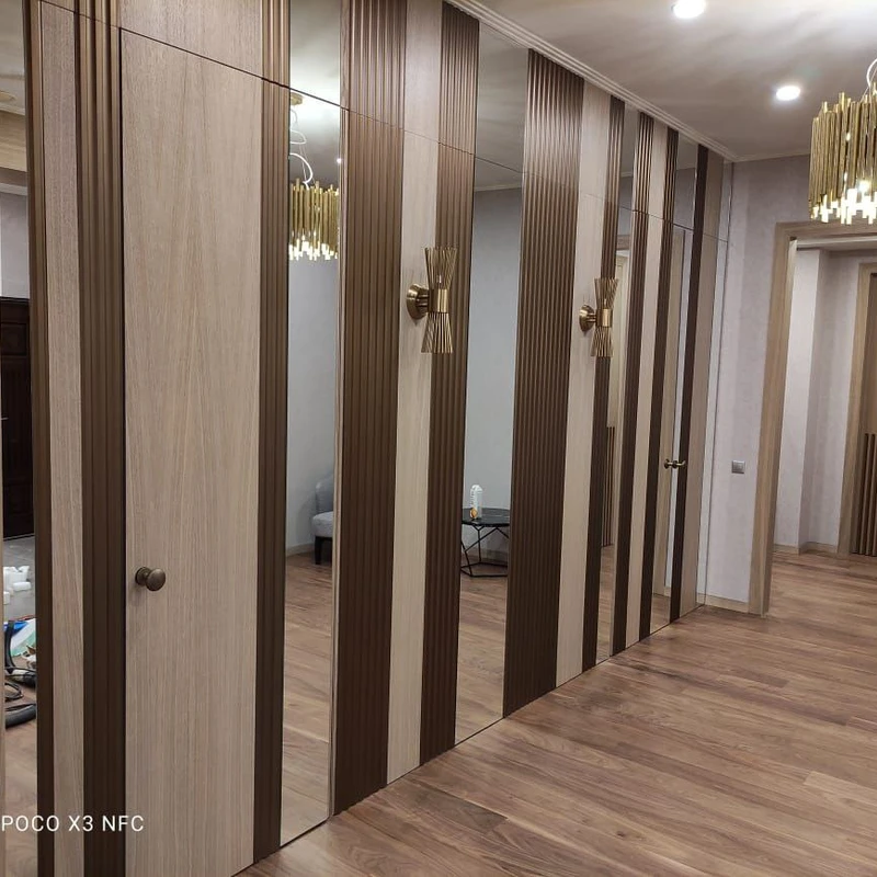 Дверь - стеновая панель